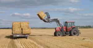 farming